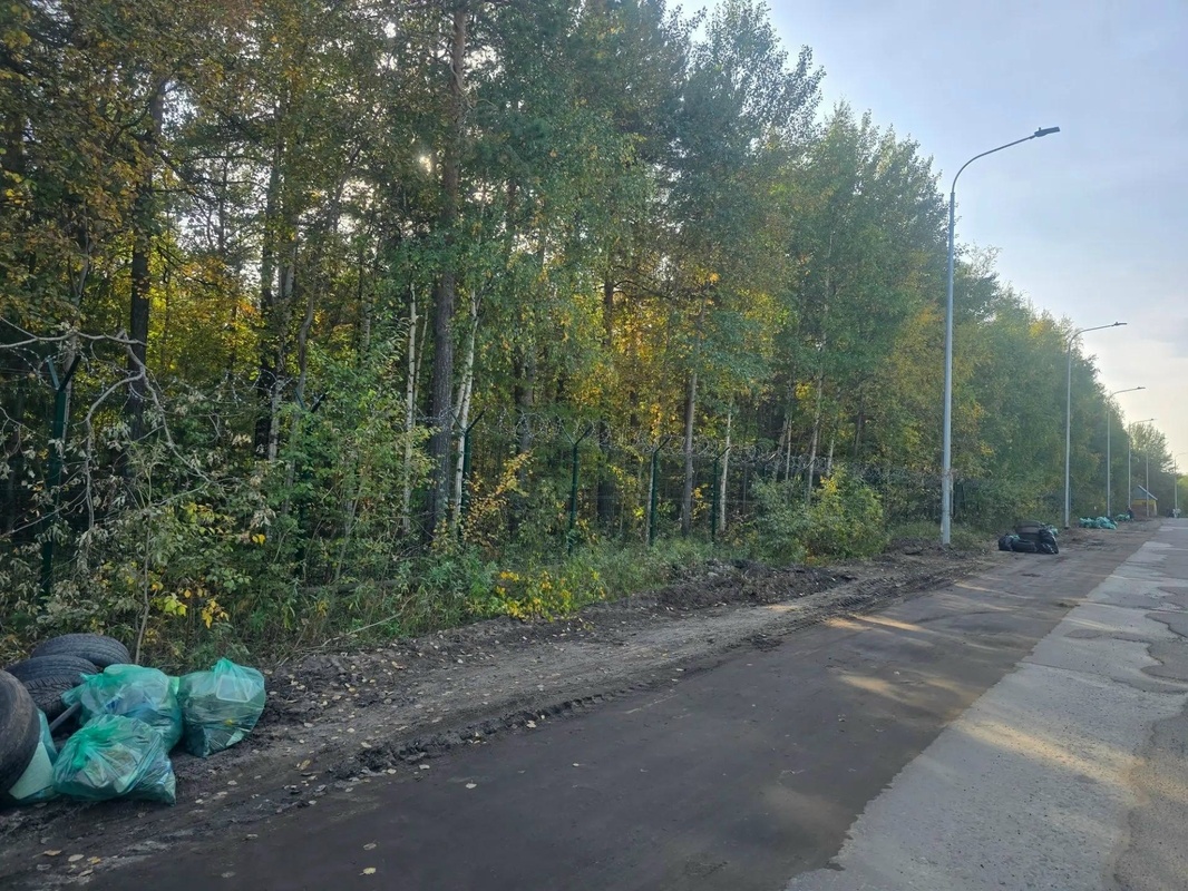 В Сургуте вдоль улицы Технологической очистили от мусора 1,8 гектаров