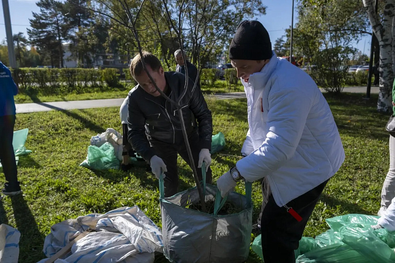 В Сургуте этой осенью высадят 1000 деревьев и кустарников