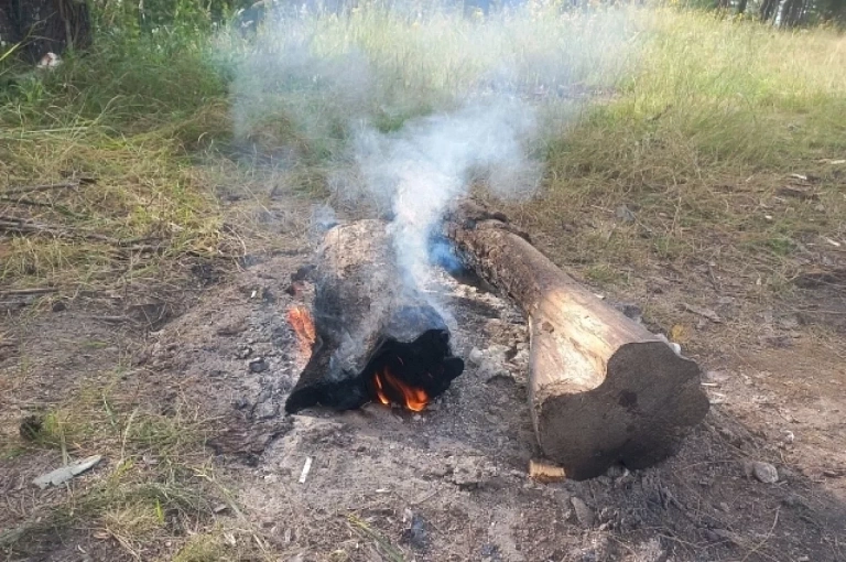 В Кондинском районе лесничие предотвратили возгорание тайги