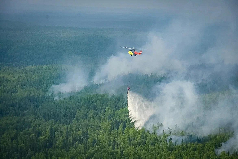В ХМАО закончился сезон лесных пожаров. Он был тяжелым из-за аномальной жары