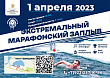Моржи Сургута приглашают на экстремальный заплыв
