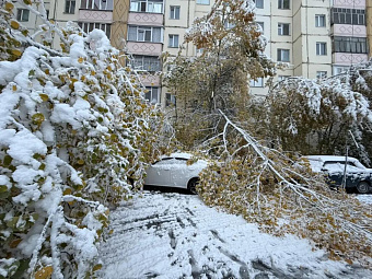 В Сургуте аварийные бригады устраняют последствия мокрого снегопада