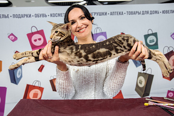 Куда сходить и где отдохнуть 25 и 26 июля в Сургуте