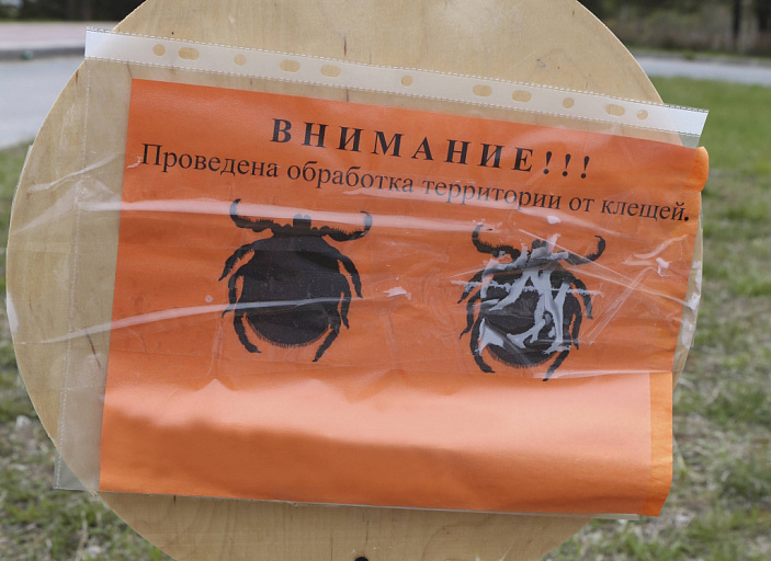 В Югре зафиксирован рост числа обращений за помощью после укусов клещей